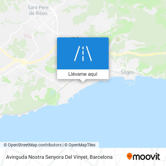 Mapa Avinguda Nostra Senyora Del Vinyet