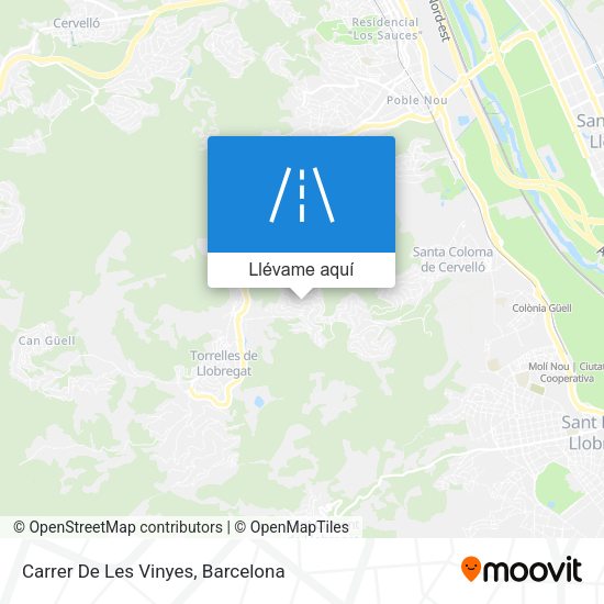Mapa Carrer De Les Vinyes