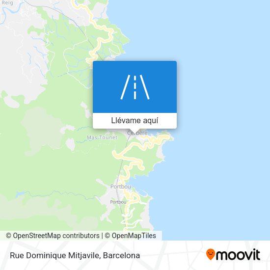 Mapa Rue Dominique Mitjavile