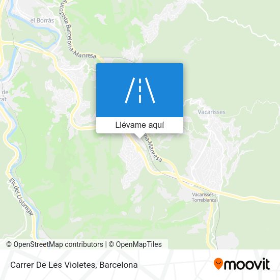 Mapa Carrer De Les Violetes