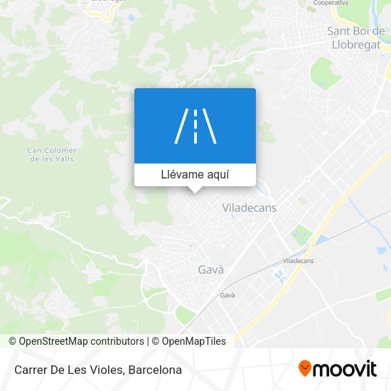 Mapa Carrer De Les Violes