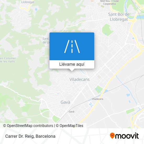 Mapa Carrer Dr. Reig