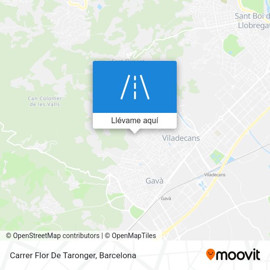 Mapa Carrer Flor De Taronger