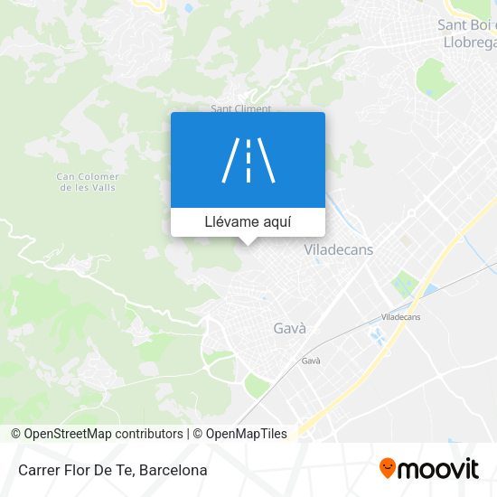 Mapa Carrer Flor De Te
