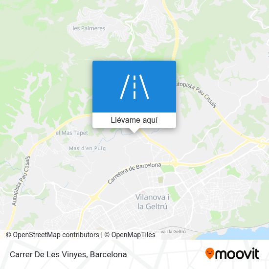 Mapa Carrer De Les Vinyes