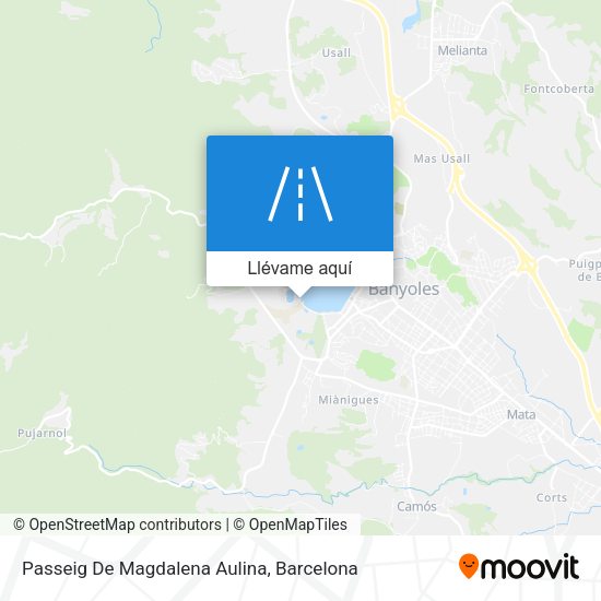 Mapa Passeig De Magdalena Aulina