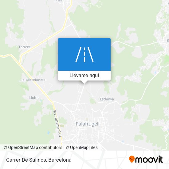 Mapa Carrer De Salincs