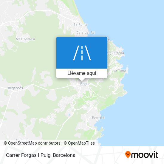 Mapa Carrer Forgas I Puig