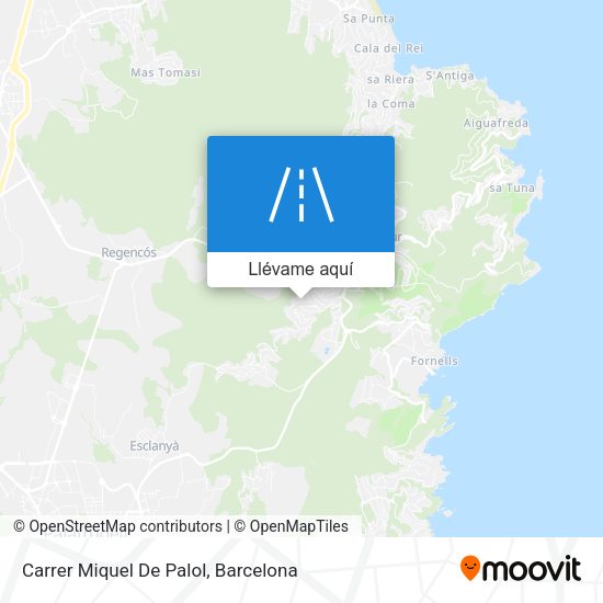 Mapa Carrer Miquel De Palol
