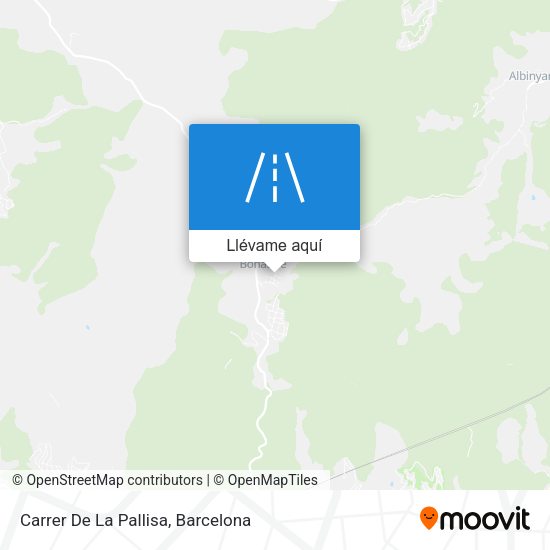 Mapa Carrer De La Pallisa