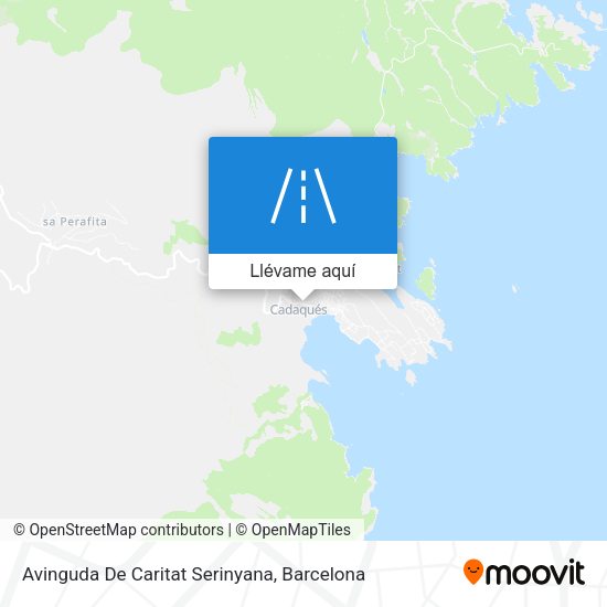 Mapa Avinguda De Caritat Serinyana