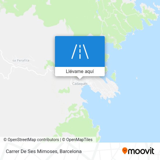 Mapa Carrer De Ses Mimoses