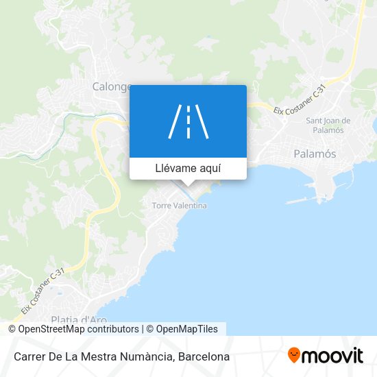 Mapa Carrer De La Mestra Numància