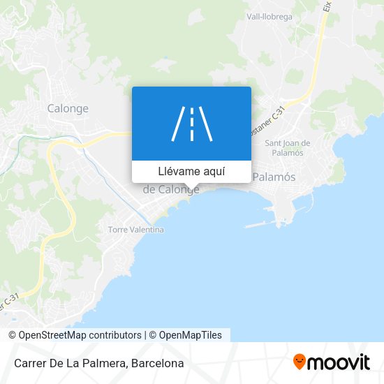 Mapa Carrer De La Palmera