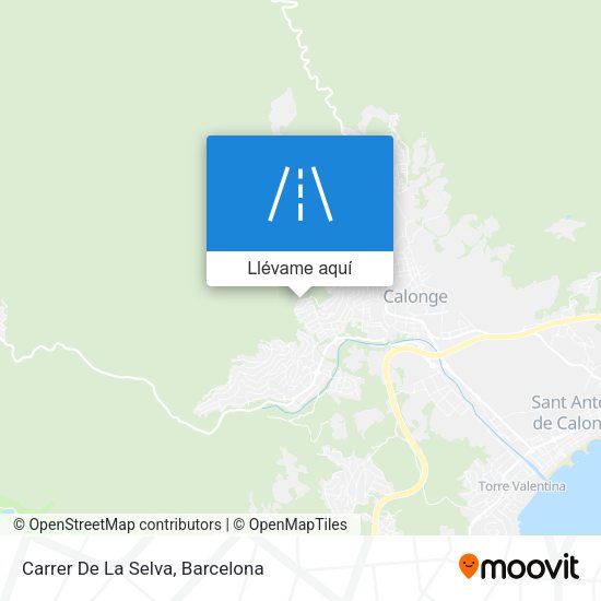 Mapa Carrer De La Selva