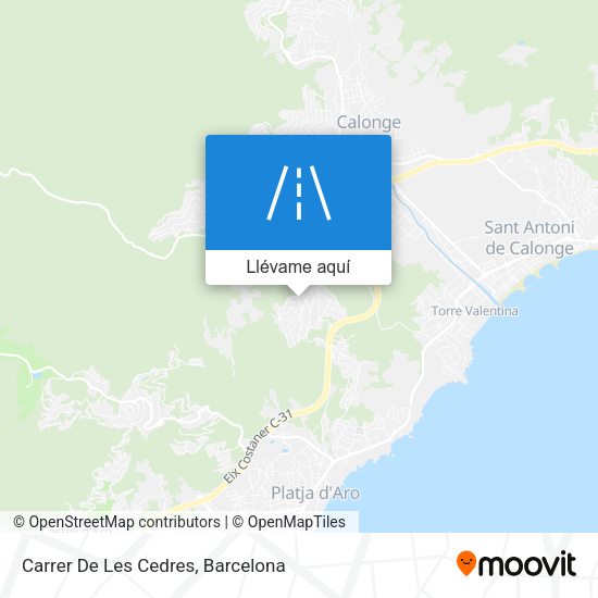 Mapa Carrer De Les Cedres