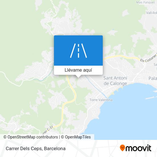 Mapa Carrer Dels Ceps