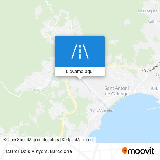 Mapa Carrer Dels Vinyers