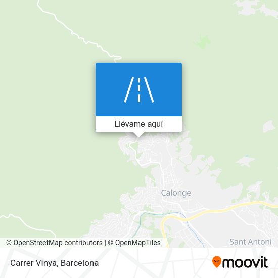 Mapa Carrer Vinya