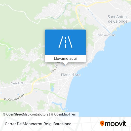 Mapa Carrer De Montserrat Roig