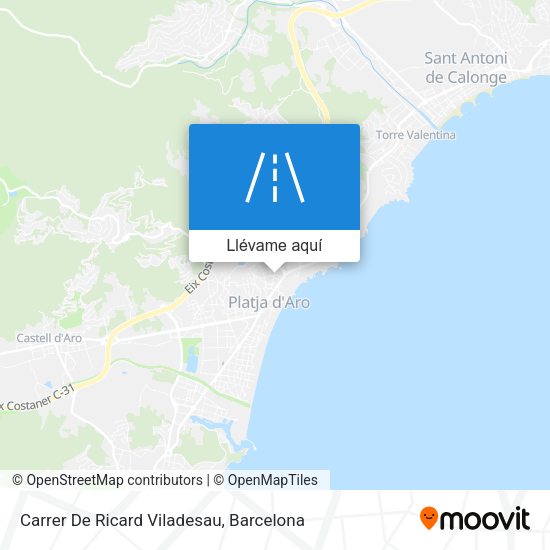 Mapa Carrer De Ricard Viladesau