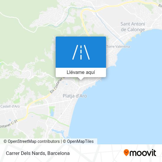 Mapa Carrer Dels Nards