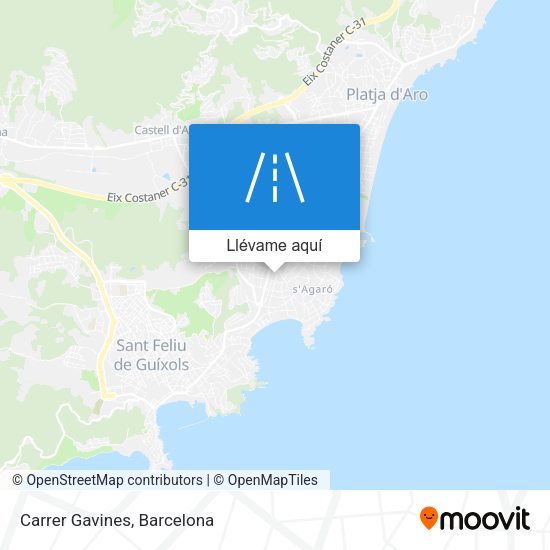 Mapa Carrer Gavines