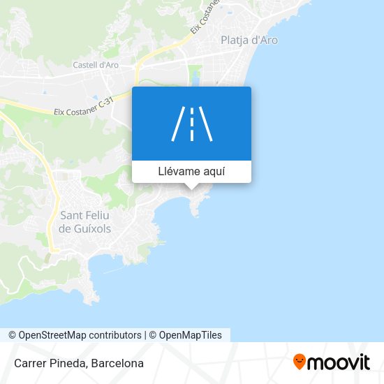 Mapa Carrer Pineda