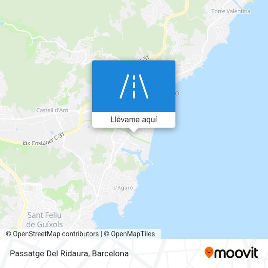 Mapa Passatge Del Ridaura