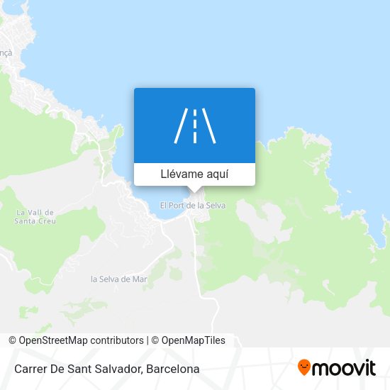 Mapa Carrer De Sant Salvador