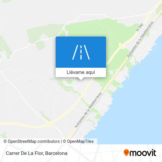Mapa Carrer De La Flor