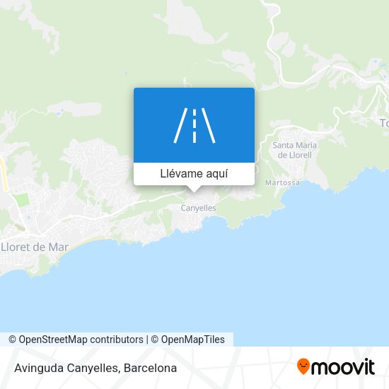 Mapa Avinguda Canyelles