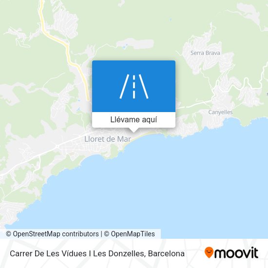 Mapa Carrer De Les Vídues I Les Donzelles