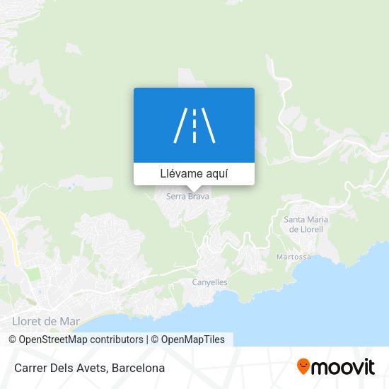 Mapa Carrer Dels Avets
