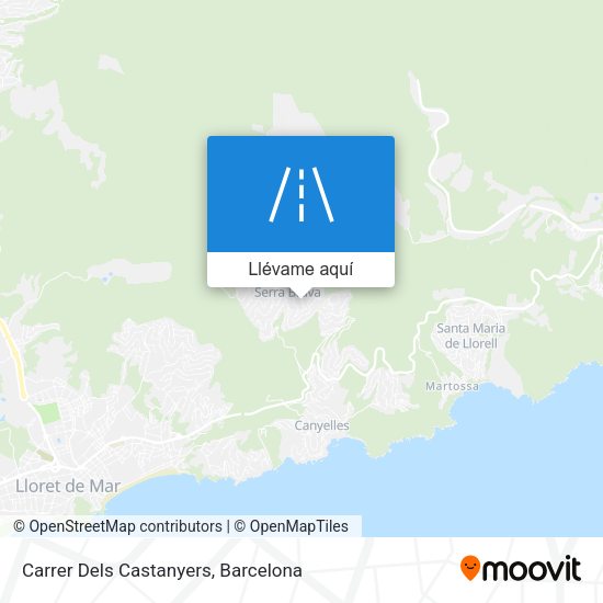 Mapa Carrer Dels Castanyers
