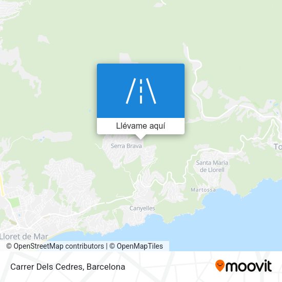 Mapa Carrer Dels Cedres