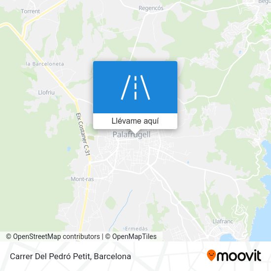 Mapa Carrer Del Pedró Petit