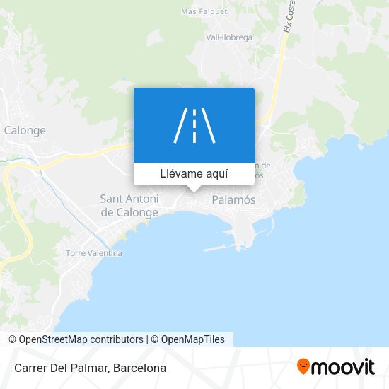 Mapa Carrer Del Palmar