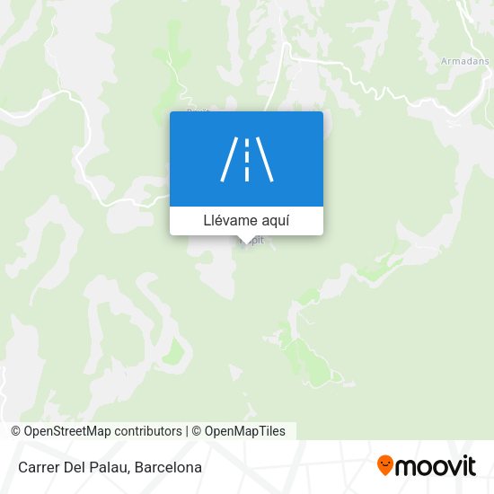 Mapa Carrer Del Palau