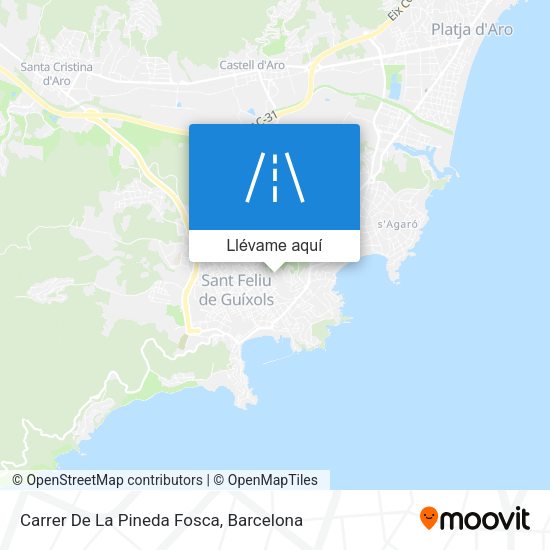 Mapa Carrer De La Pineda Fosca