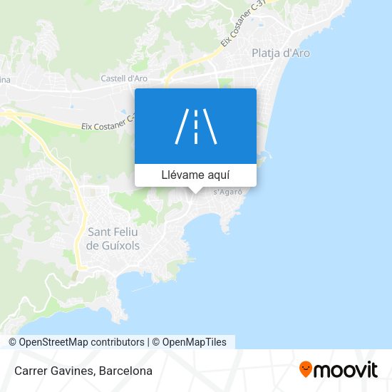 Mapa Carrer Gavines