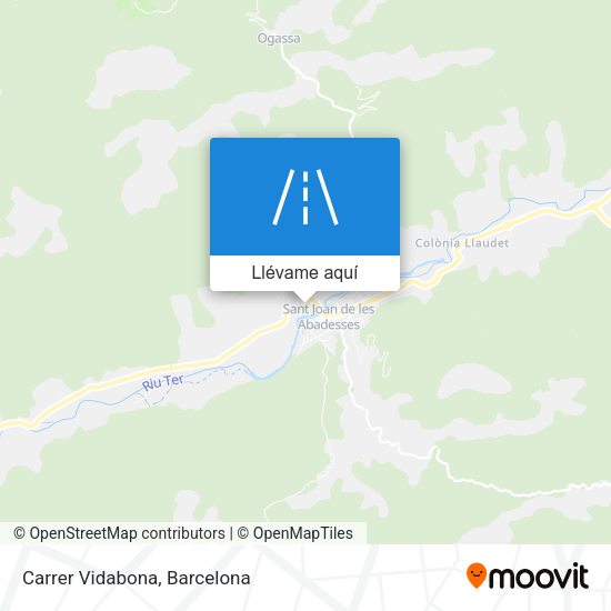 Mapa Carrer Vidabona