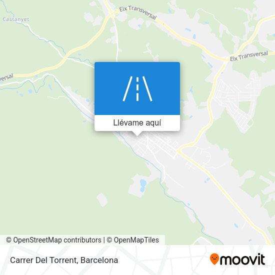 Mapa Carrer Del Torrent