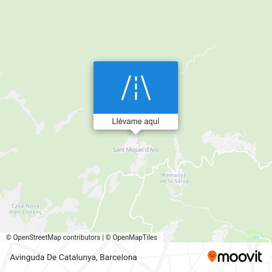 Mapa Avinguda De Catalunya