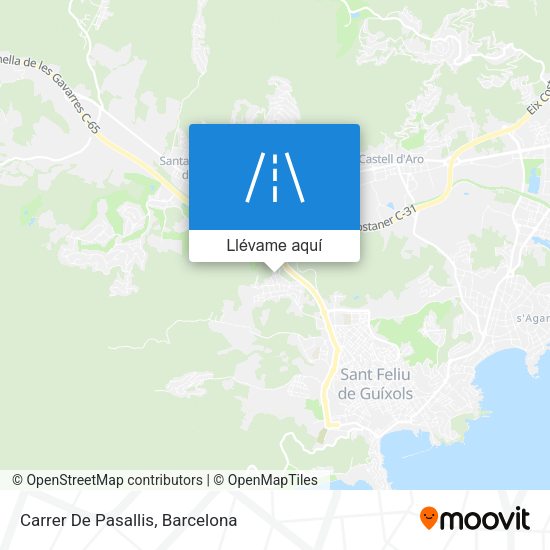 Mapa Carrer De Pasallis