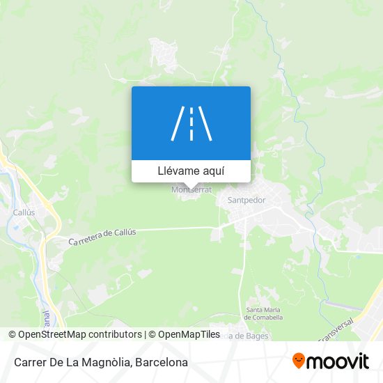 Mapa Carrer De La Magnòlia