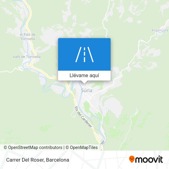Mapa Carrer Del Roser