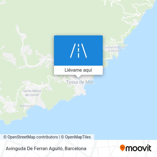 Mapa Avinguda De Ferran Agulló