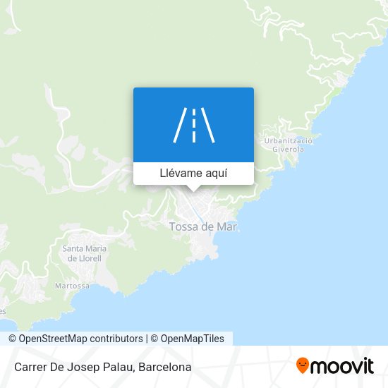 Mapa Carrer De Josep Palau