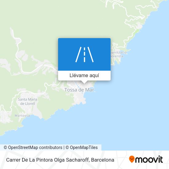 Mapa Carrer De La Pintora Olga Sacharoff